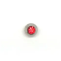 Rot / 023 - PT06