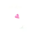 Pink Fluo / 059 - PT05
