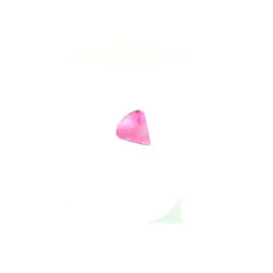 Pink Fluo / 059 - PT05