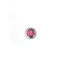 Rosa / 007 - PT04