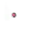 Rosa / 007 - PT04